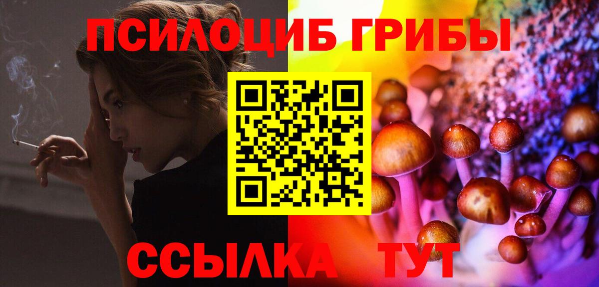 Псилоцибиновые грибы MAGIC MUSHROOMS  Галлюциногенные грибы GOLDEN TEACHER  Всеволожск  Вход с VPN 